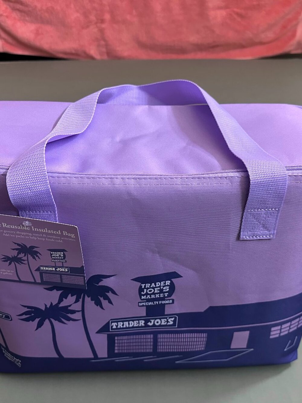 Trader Joe's insulated picnic bag